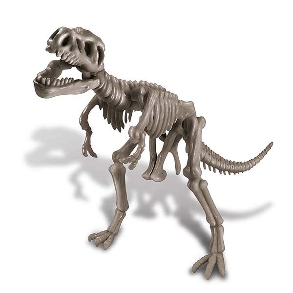 4M - KidzLabs - Dig a Dinosaur T-Rex