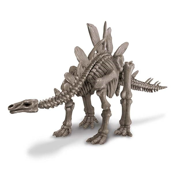 4M - KidzLabs - Dig a Dinosaur - Stegosaurus