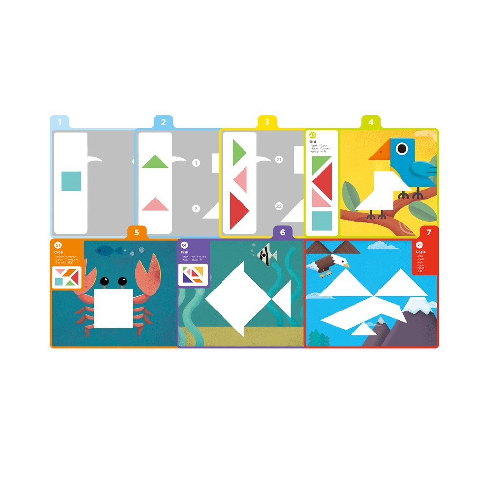 mierEdu - Magnetic Tangram - Starter Kit