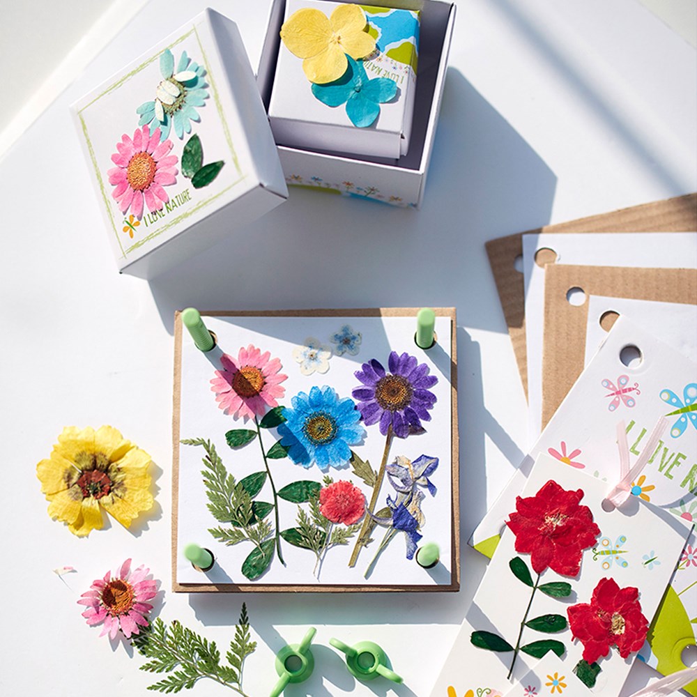 4M - Pressed Flower Art