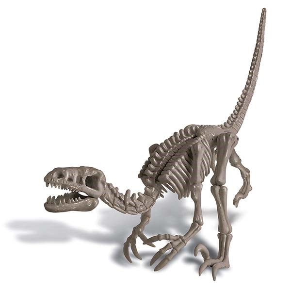 4M - KidzLabs - Dig a Dinosaur - Velociraptor