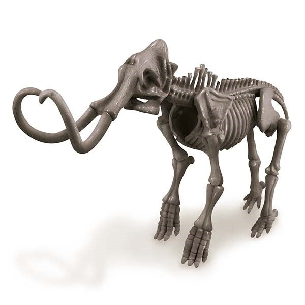 4M - KidzLabs - Dig a Dinosaur - Mammoth