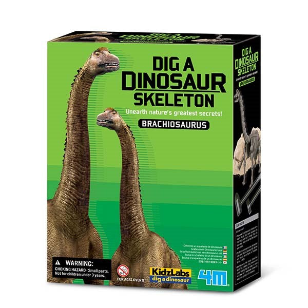 4M - KidzLabs -  Dig a Dinosaur - Brachiosaurus - view 5