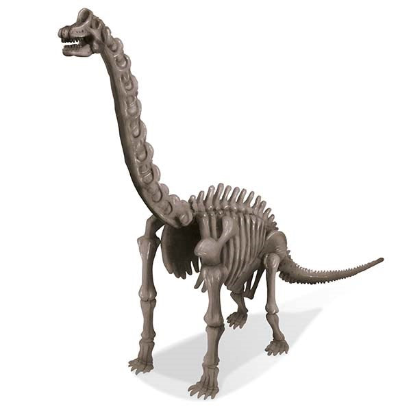 4M - KidzLabs -  Dig a Dinosaur - Brachiosaurus - view 8