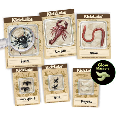 4M - KidzLabs - Creepy Crawly Digging Kit - view 3