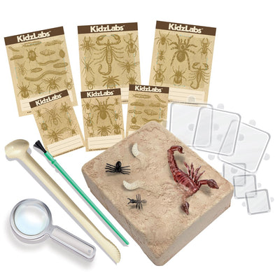 4M - KidzLabs - Creepy Crawly Digging Kit - view 9