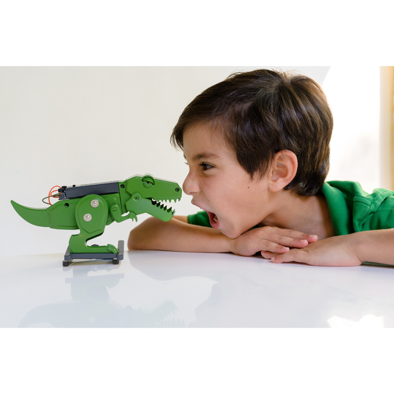 4M - KidzLabs - Roaring T-Rex Skull - view 10