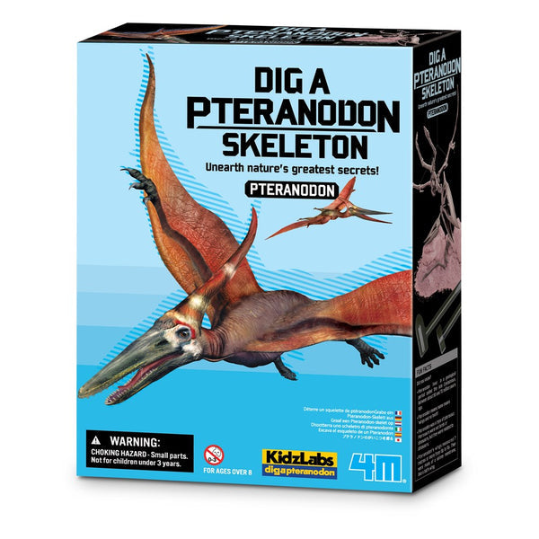 4M - KidzLabs - Dig a Pteranadon Skeleton - view 15