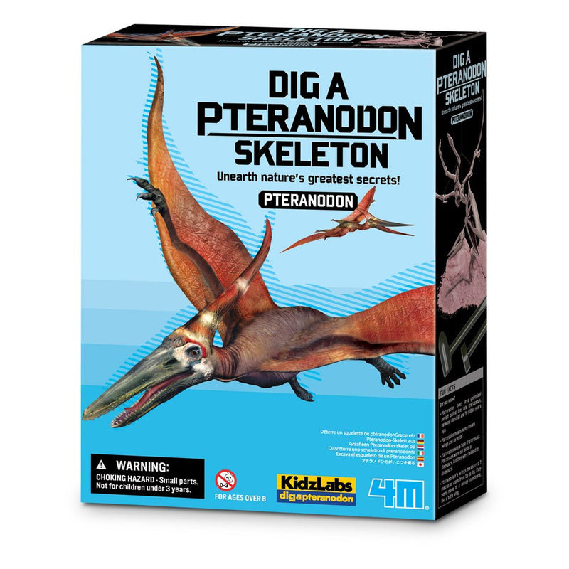 4M - KidzLabs - Dig a Pteranadon Skeleton - view 16