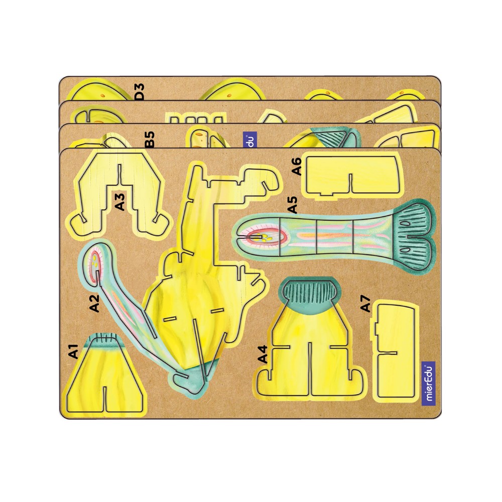 mierEdu - Build n Sound 3D Puzzle - Parasaurolophus