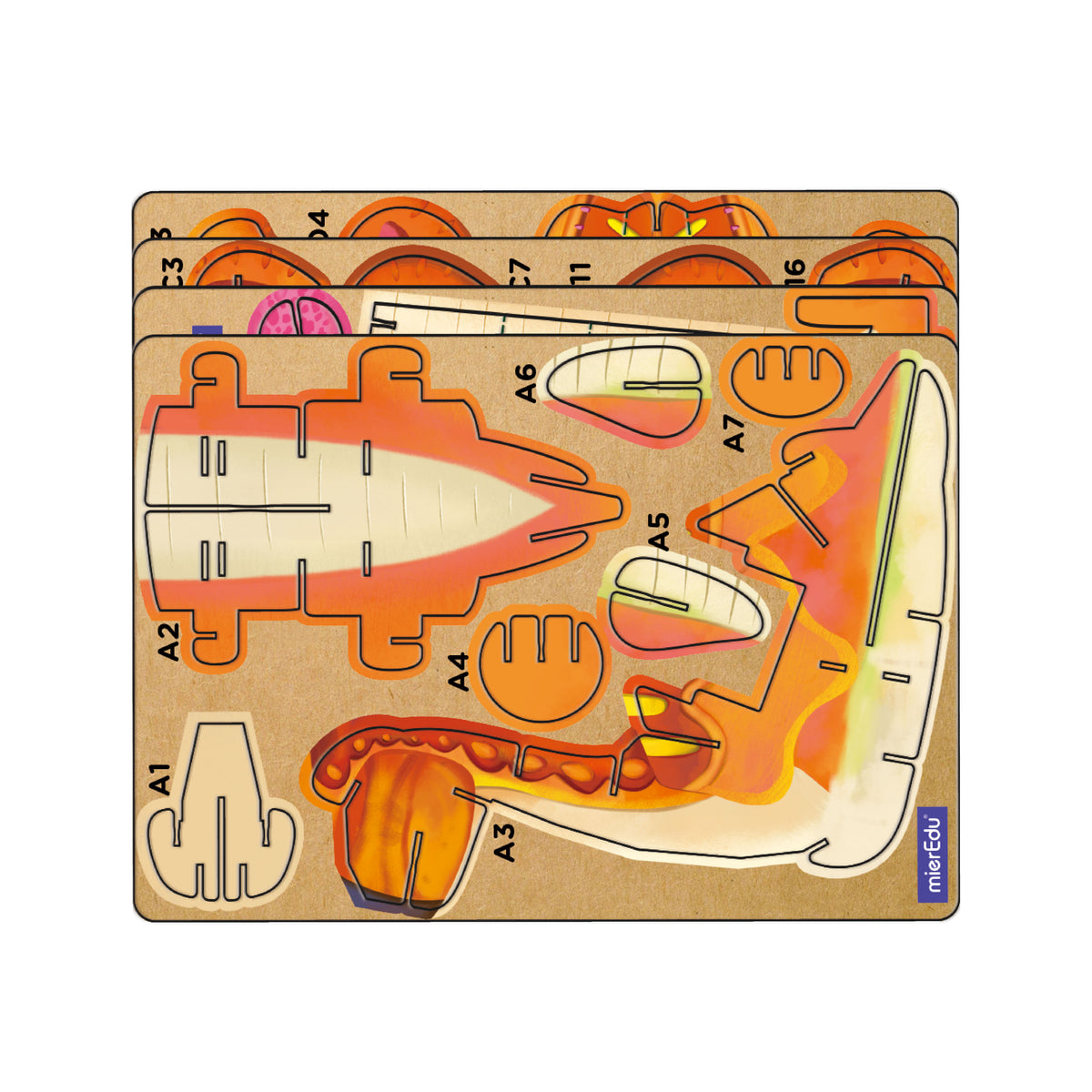 mierEdu - Build n Sound 3D Puzzle - Brachiosaurus - view 4