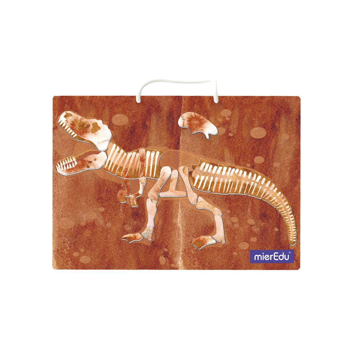 mierEdu - Magnetic Pad - Tyrannosaurus - view 8