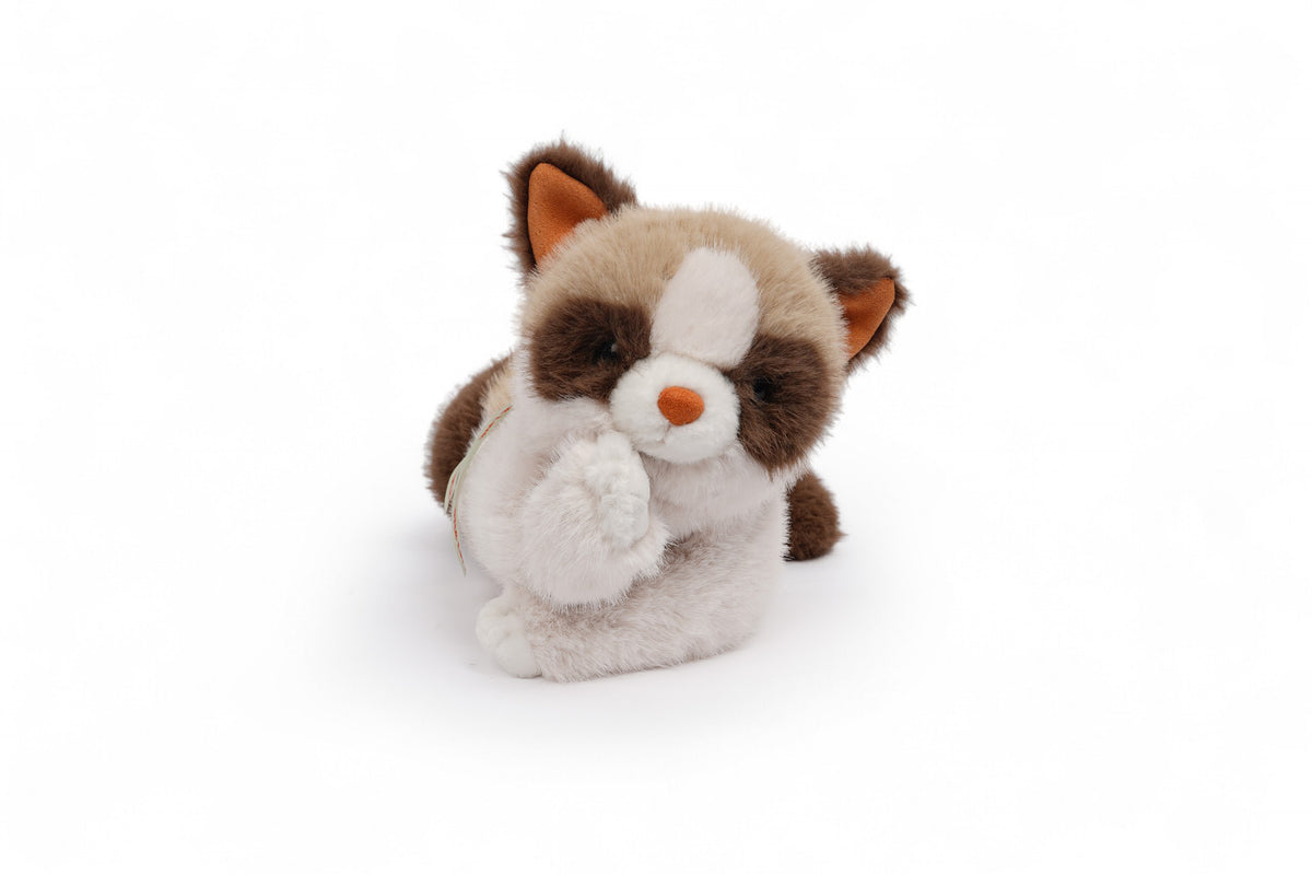 One Love - Caramel Cat - view 6