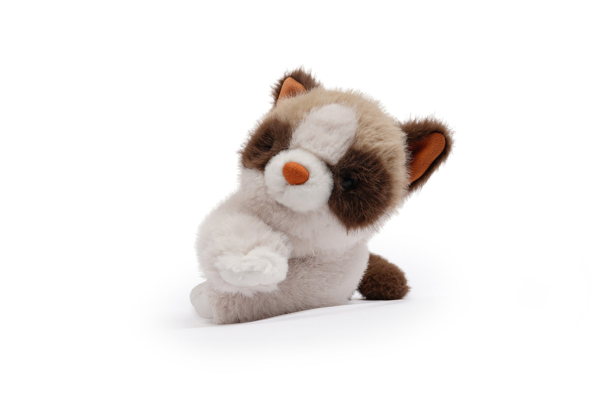 One Love - Caramel Cat - view 7